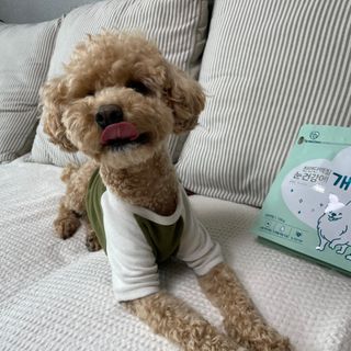 My Pet Care 천연단백질 눈건강에 개좋아 — 5점을 준 리뷰어가 2021년 2월 올린 사용 사진