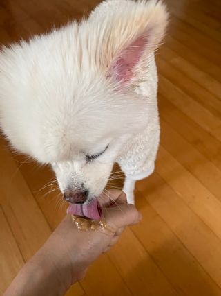 투니님이 올린 리뷰 사진 2