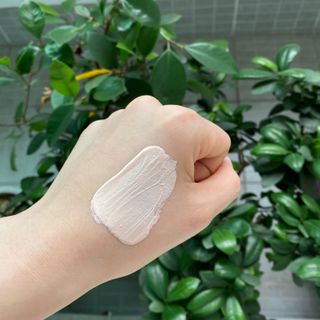 뿅이요님이 올린 리뷰 사진 2