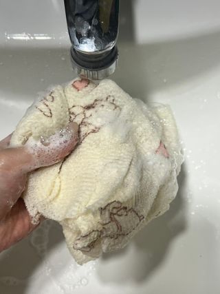 알맹님이 올린 리뷰 사진 2