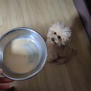 예니님이 올린 리뷰 사진 3
