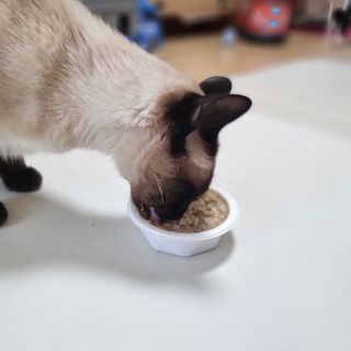 숑이님이 올린 리뷰 사진 3