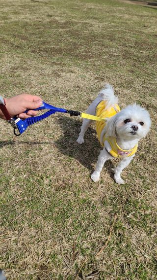 태산몽실맘님이 올린 리뷰 사진 1