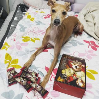 JeonEunju님이 올린 리뷰 사진 1