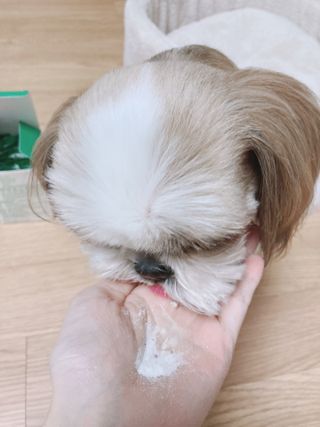 박하님이 올린 리뷰 사진 3