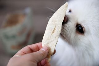 샐리님이 올린 리뷰 사진 2