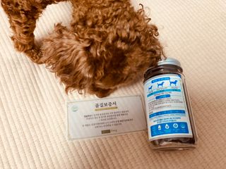 랩솔루션 강아지 영양제 3종 중 택 1 — 5점을 준 리뷰어가 2022년 5월 올린 사용 사진