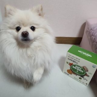 빵슬님이 올린 리뷰 사진 1