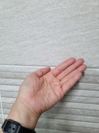 조향사 바디 앤 핸드 워시 화이트 포레스트 — 4.5점을 준 리뷰어가 2022년 6월 올린 사용 사진