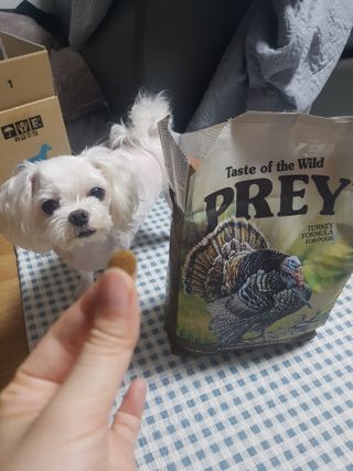 김고양이님이 올린 리뷰 사진 1