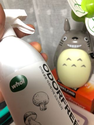 키티맘님이 올린 리뷰 사진 3