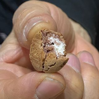 보니보니님이 올린 리뷰 사진 4