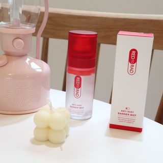 레드투래드 안티더스트 배리어 미스트 55ml — 5점을 준 리뷰어가 2021년 7월 올린 사용 사진