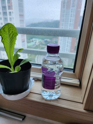 몽베스트 [MONTBEST] 330mL 20병 — 5점을 준 리뷰어가 2023년 6월 올린 사용 사진