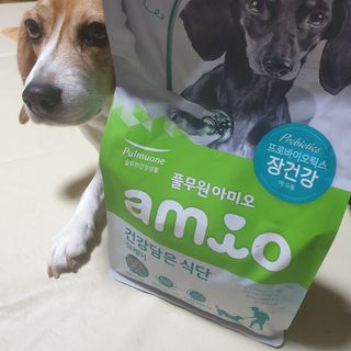 beaglelove님이 올린 리뷰 사진 1