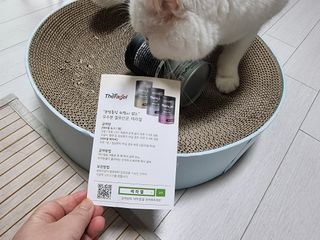 파비올라님이 올린 리뷰 사진 2