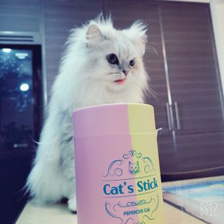 페페로니 맛있는 스틱 - 무항생제 닭고기 15개 + 원양선 참치 15개 — 5점을 준 리뷰어가 2021년 10월 올린 사용 사진
