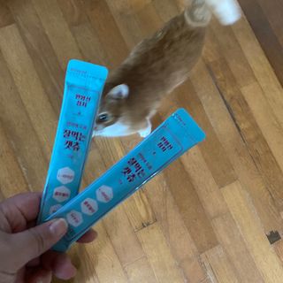 페페로니 잘 먹는 캣츄 - 원양선 참치 24개입 — 5점을 준 리뷰어가 2021년 10월 올린 사용 사진