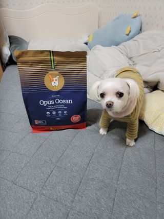 두부님이 올린 리뷰 사진 4