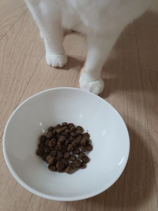 네롱이님이 올린 리뷰 사진 2