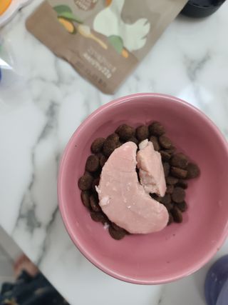 도그퓨어 푸드닭 강아지 닭고기 통살 애견간식 오리지널/차전자피/초록입홍합 — 5점을 준 리뷰어가 2021년 10월 올린 사용 사진