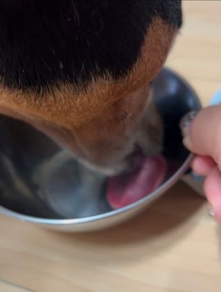 뚜나벨님이 올린 리뷰 사진 3