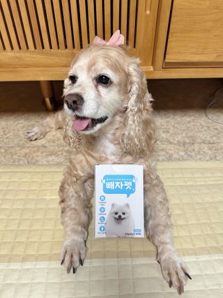 유키코코샤넬님이 올린 리뷰 사진 1