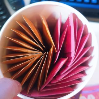 페페로니 맛있는 스틱 - 무항생제 닭고기 15개 + 원양선 참치 15개 — 5점을 준 리뷰어가 2021년 8월 올린 사용 사진