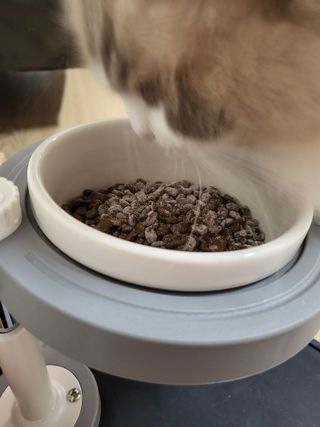로크찡님이 올린 리뷰 사진 3