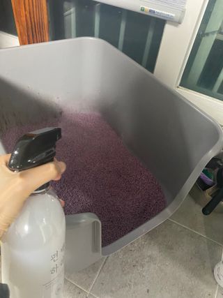편백하라 피톤치드 편백수 탈취제 500ML — 4.5점을 준 리뷰어가 2022년 10월 올린 사용 사진