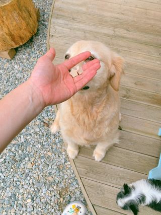 Jeonjj님이 올린 리뷰 사진 3