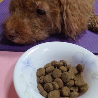 제이드님이 올린 리뷰 사진 2