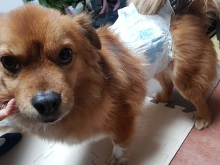 미미네님이 올린 리뷰 사진 4