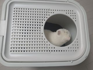 파비올라님이 올린 리뷰 사진 3