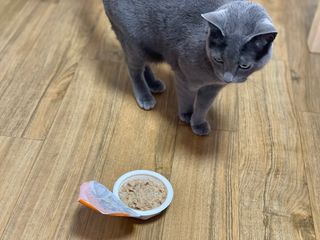 edith님이 올린 리뷰 사진 2