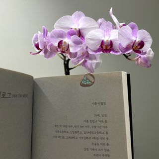 박승주님이 올린 리뷰 사진 2