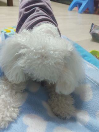 햇님달님님이 올린 리뷰 사진 3
