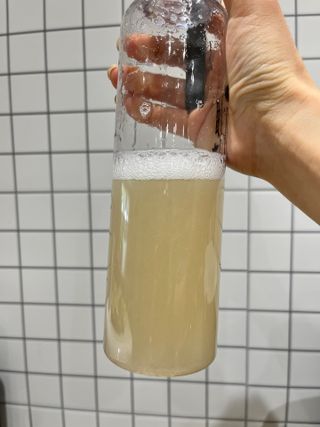 덤플링님이 올린 리뷰 사진 2