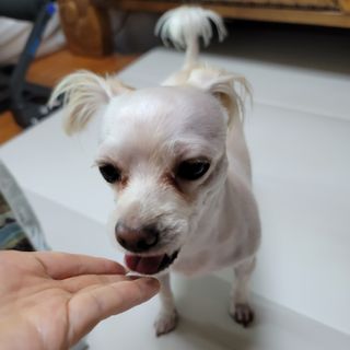 mejoom님이 올린 리뷰 사진 3
