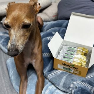 JeonEunju님이 올린 리뷰 사진 2