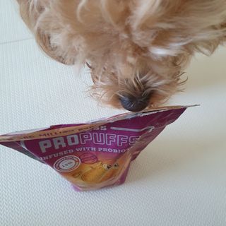 아코맘님이 올린 리뷰 사진 1
