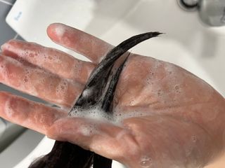 주식회사 에이징 하이드로컴플렉스 미네랄 샴푸 — 5점을 준 리뷰어가 2023년 2월 올린 사용 사진