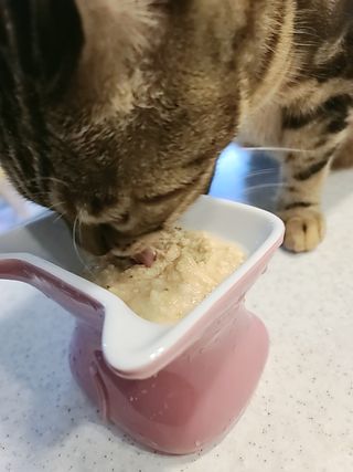 이쏭쏭님이 올린 리뷰 사진 4
