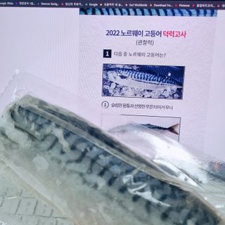 ㈜금호통상 노르웨이 고등어 900g (6~10편) — 5점을 준 리뷰어가 2022년 11월 올린 사용 사진