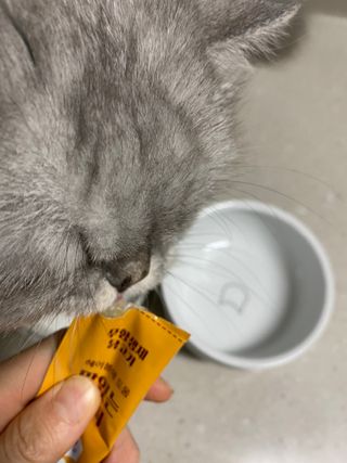 페페로니 맛있는 스틱 - 무항생제 닭고기 15개 + 원양선 참치 15개 — 5점을 준 리뷰어가 2021년 8월 올린 사용 사진