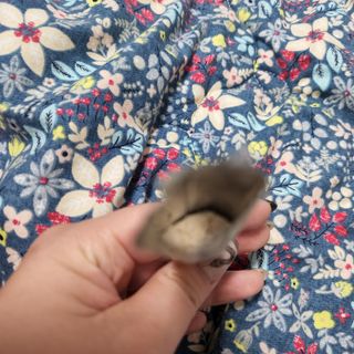 Eileen님이 올린 리뷰 사진 4