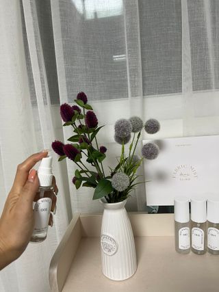 디어포레스트 [5개세트] 숲속의 하루 패브릭미스트 (섬유향수/ 룸스프레이) 50ml 5개 — 5점을 준 리뷰어가 2022년 10월 올린 사용 사진