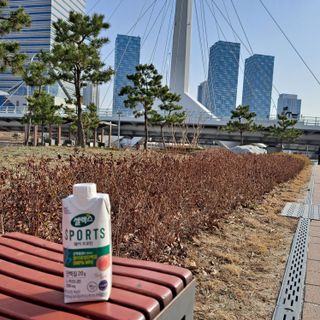 셀렉스스포츠 셀렉스 스포츠 웨이 프로틴 복숭아_ 330ml x 12팩 — 5점을 준 리뷰어가 2021년 3월 올린 사용 사진