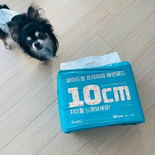 아베크 펫 와이드 프리미엄 대형 애견 강아지 배변 패드 30매 1팩 80g — 4점을 준 리뷰어가 2021년 7월 올린 사용 사진