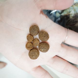 벼리님이 올린 리뷰 사진 2